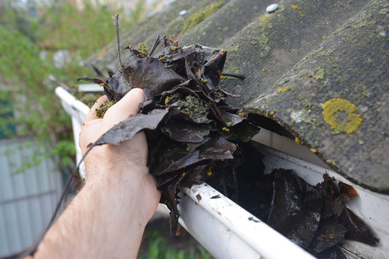 Downspout Cleaning in Morris County, NJ