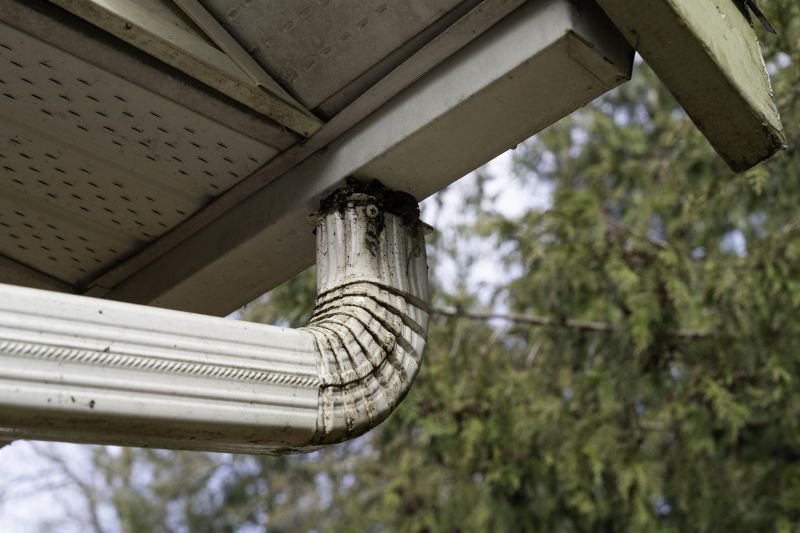 Downspout Cleaning in Fredericksburg, VA
