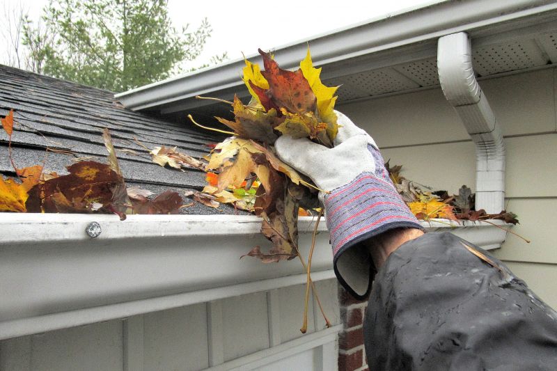 Gutter Leaf Clearing in Longmont, CO
