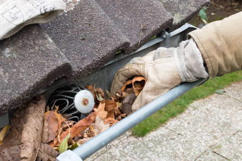 Gutter Leaves Removal in Monmouth County, NJ