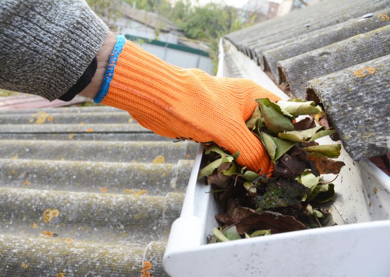 Gutter Maintenance in Longmont, CO