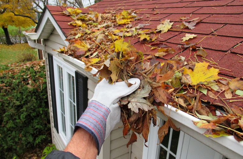 Roof Gutter Cleaning in Frederick, MD